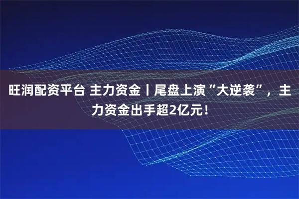 旺润配资平台 主力资金丨尾盘上演“大逆袭”，主力资金出手超2亿元！