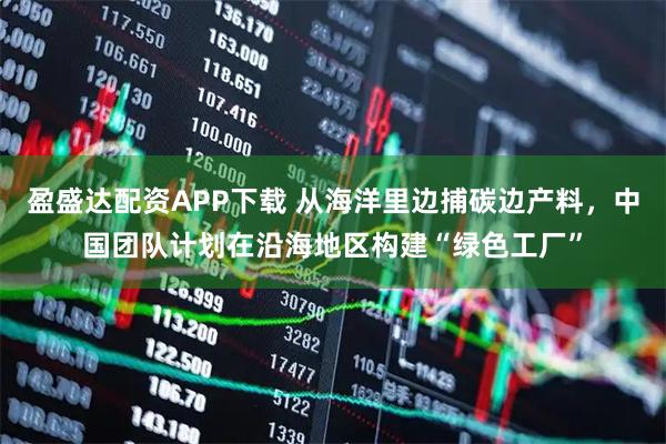 盈盛达配资APP下载 从海洋里边捕碳边产料，中国团队计划在沿海地区构建“绿色工厂”