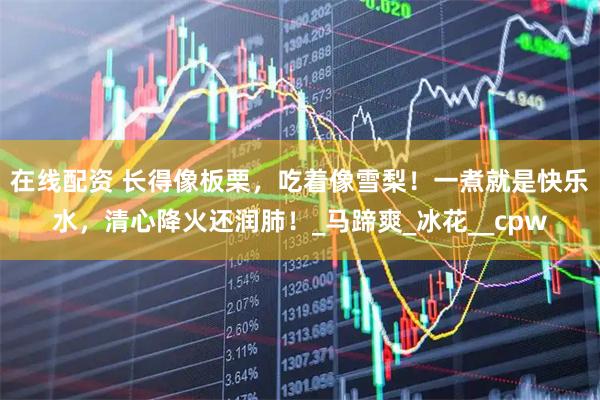 在线配资 长得像板栗，吃着像雪梨！一煮就是快乐水，清心降火还润肺！_马蹄爽_冰花__cpw