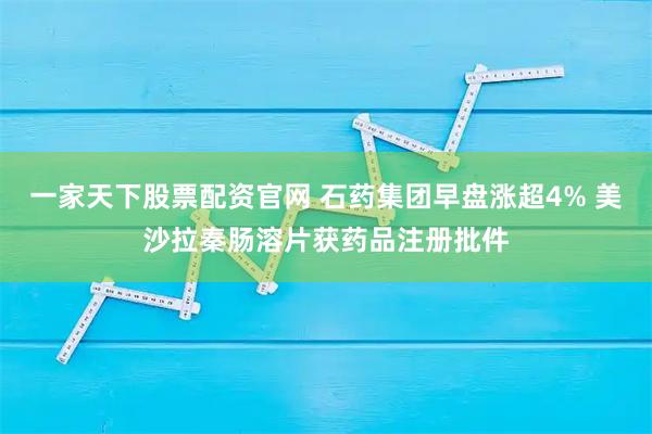 一家天下股票配资官网 石药集团早盘涨超4% 美沙拉秦肠溶片获药品注册批件