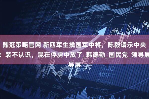 鼎冠策略官网 新四军生擒国军中将，陈毅请示中央：装不认识，混在俘虏中放了_韩德勤_国民党_领导层