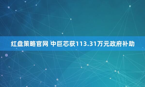 红盘策略官网 中巨芯获113.31万元政府补助