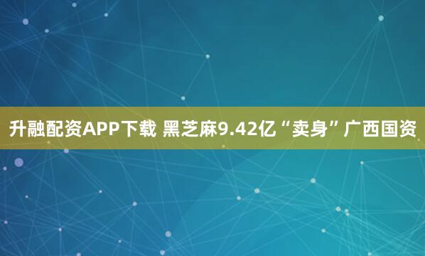 升融配资APP下载 黑芝麻9.42亿“卖身”广西国资