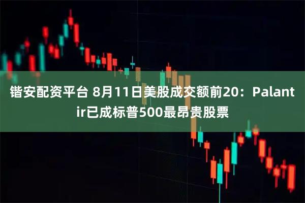 锴安配资平台 8月11日美股成交额前20：Palantir已成标普500最昂贵股票